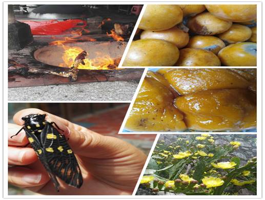 clip_image006.jpg 春游2.jpg